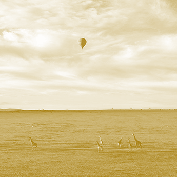 safari-baloon